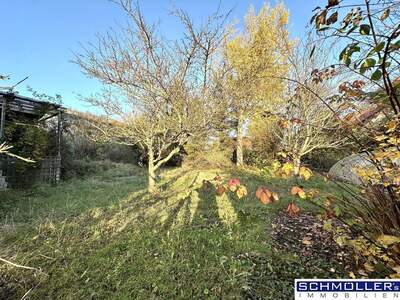 Grundstück kaufen in 4611 Buchkirchen (Bild 3)