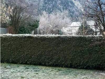 Mietwohnung provisionsfrei in 6330 Kufstein