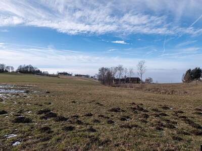 Grundstück kaufen in 4201 Eidenberg (Bild 1)