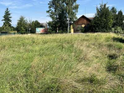 Grundstück kaufen in 3243 St. Leonhard (Bild 3)