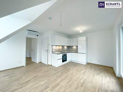 Terrassenwohnung mieten in 1220 Wien (Bild 5)