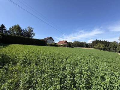 Grundstück kaufen in 4624 Pennewang