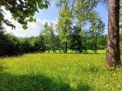 Grundstück mieten in 5324 Faistenau (Bild 2)
