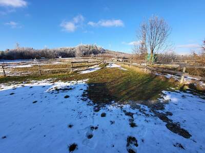 Einfamilienhaus kaufen in 2533 Klausen (Bild 3)