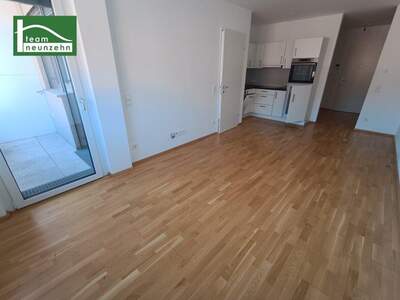 Terrassenwohnung mieten in 3100 St. Pölten (Bild 1)
