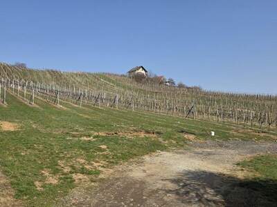 Chalet kaufen in 8493 Klöch (Bild 3)