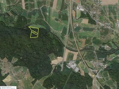 Grundstück kaufen in 8410 Weitendorf (Bild 2)