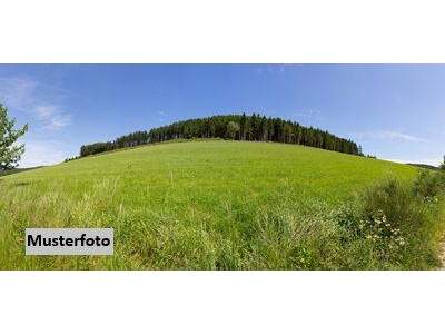 Grundstück kaufen in 7423 Pinkafeld