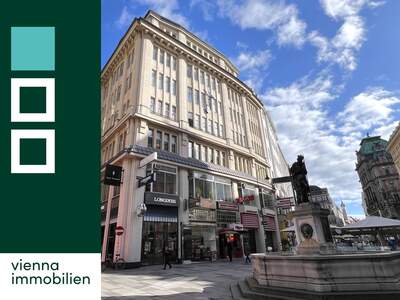 Büro / Praxis mieten in 1010 Wien (Bild 1)