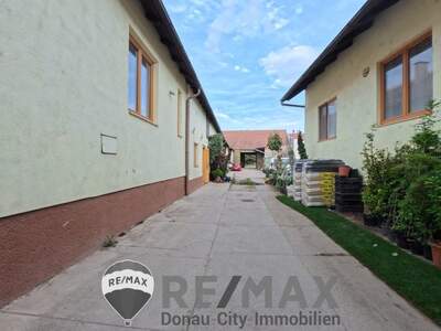 Grundstück kaufen in 2482 Münchendorf (Bild 2)