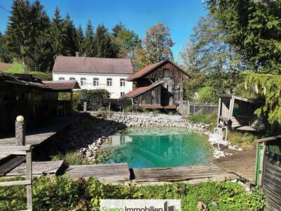 Haus mit Garten kaufen in 4552 Wartberg (Bild 1)