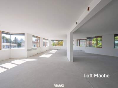 Wohnung kaufen in 2340 Mödling