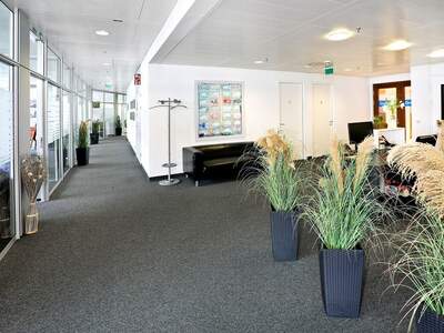 Gewerbeobjekt mieten in 1210 Wien (Bild 2)