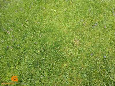 Grundstück kaufen in 5310 St. Lorenz