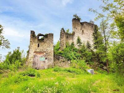 Gewerbeobjekt kaufen in 8713 Sankt Stefan