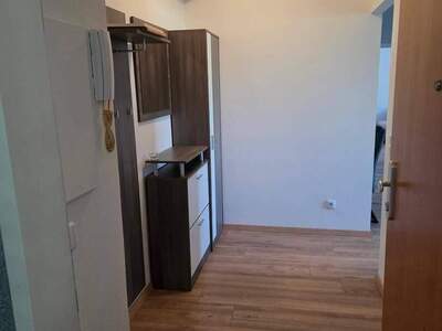 Wohnung provisionsfrei mieten in 7201 Neudörfl
