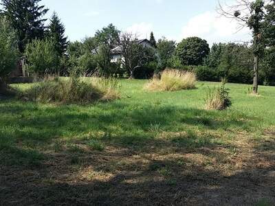 Jagd- und Forstwirtschaft kaufen in 3434 Wilfersdorf (Bild 4)