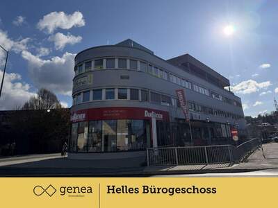 Gewerbeobjekt mieten in 8042 Graz (Bild 4)