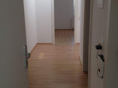 Wohnung mieten in 3250 Wieselburg (Bild 1)