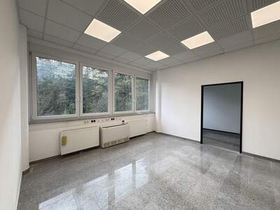 Gewerbeobjekt mieten in 8200 Gleisdorf (Bild 1)