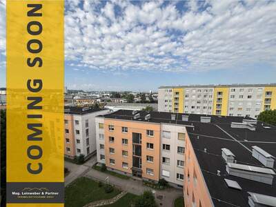 Wohnung kaufen in 4600 Wels