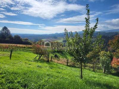Haus mit Garten kaufen in 8511 Sankt Stefan (Bild 4)