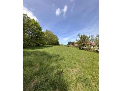 Grundstück kaufen in 3400 Klosterneuburg