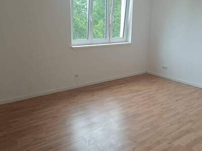 Mietwohnung provisionsfrei in 2492 Eggendorf