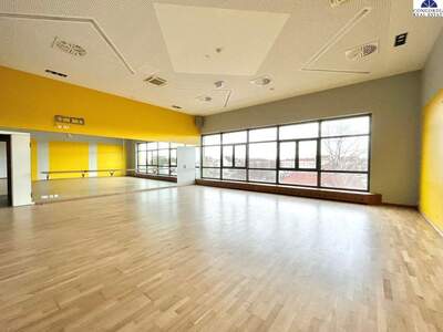 Gewerbeobjekt mieten in 2320 Schwechat (Bild 1)