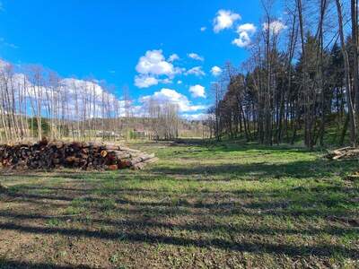 Grundstück kaufen in 8082 Kirchbach (Bild 3)