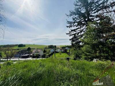 Grundstück kaufen in 2123 Hautzendorf