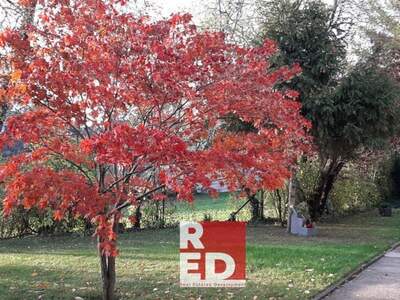 Wohnung kaufen in 1190 Wien