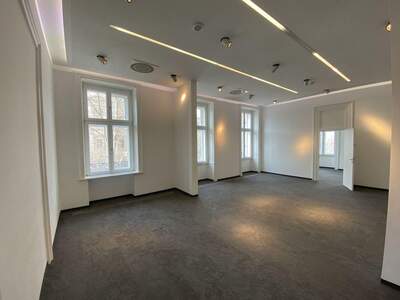 Gewerbeobjekt mieten in 1010 Wien (Bild 4)