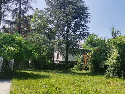 Grundstück kaufen in 2601 Sollenau (Bild 1)