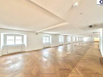 Gewerbeobjekt mieten in 1010 Wien (Bild 4)