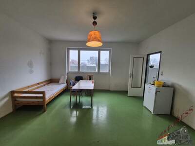 Mehrfamilienhaus kaufen in 2304 Orth (Bild 5)