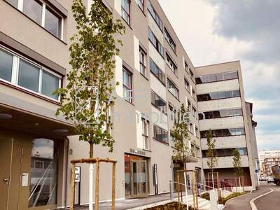 Housing Association provisionsfrei mieten in 8020 Steiermark