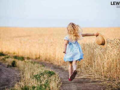 Grundstück kaufen in 4073 Wilhering