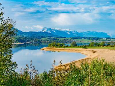 Immobilie kaufen in 5201 Seekirchen