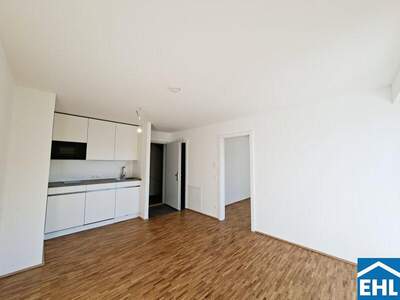 Terrassenwohnung mieten in 1220 Wien (Bild 3)