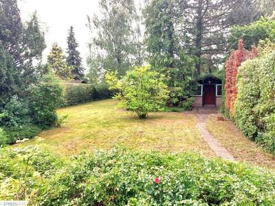 Haus mit Garten kaufen in 2291 Lassee (Bild 3)