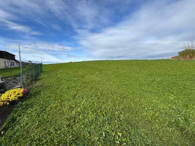 Grundstück kaufen in 5300 Hallwang