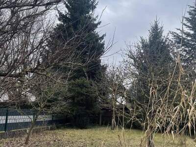 Haus kaufen in 4061 Pasching