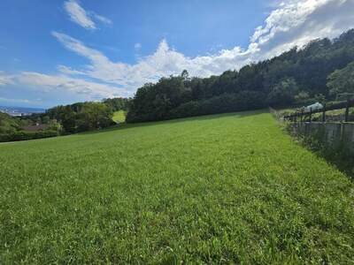 Grundstück kaufen in 4040 Altlichtenberg