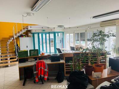 Gewerbeobjekt mieten in 7122 Gols (Bild 4)