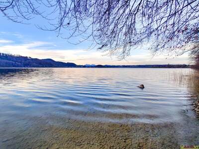 Haus mit Garten kaufen in 5221 Lochen (Bild 1)