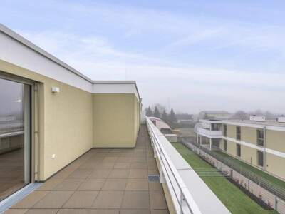 Terrassenwohnung kaufen in 2540 Bad Vöslau (Bild 4)