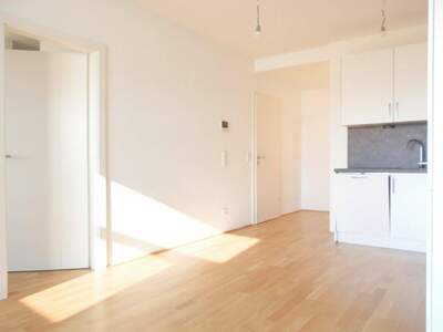 Wohnung mieten in 8020 Graz