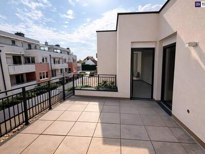 Wohnung kaufen in 1220 Wien