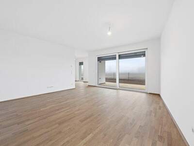Terrassenwohnung kaufen in 2700 Wr. Neustadt (Bild 3)